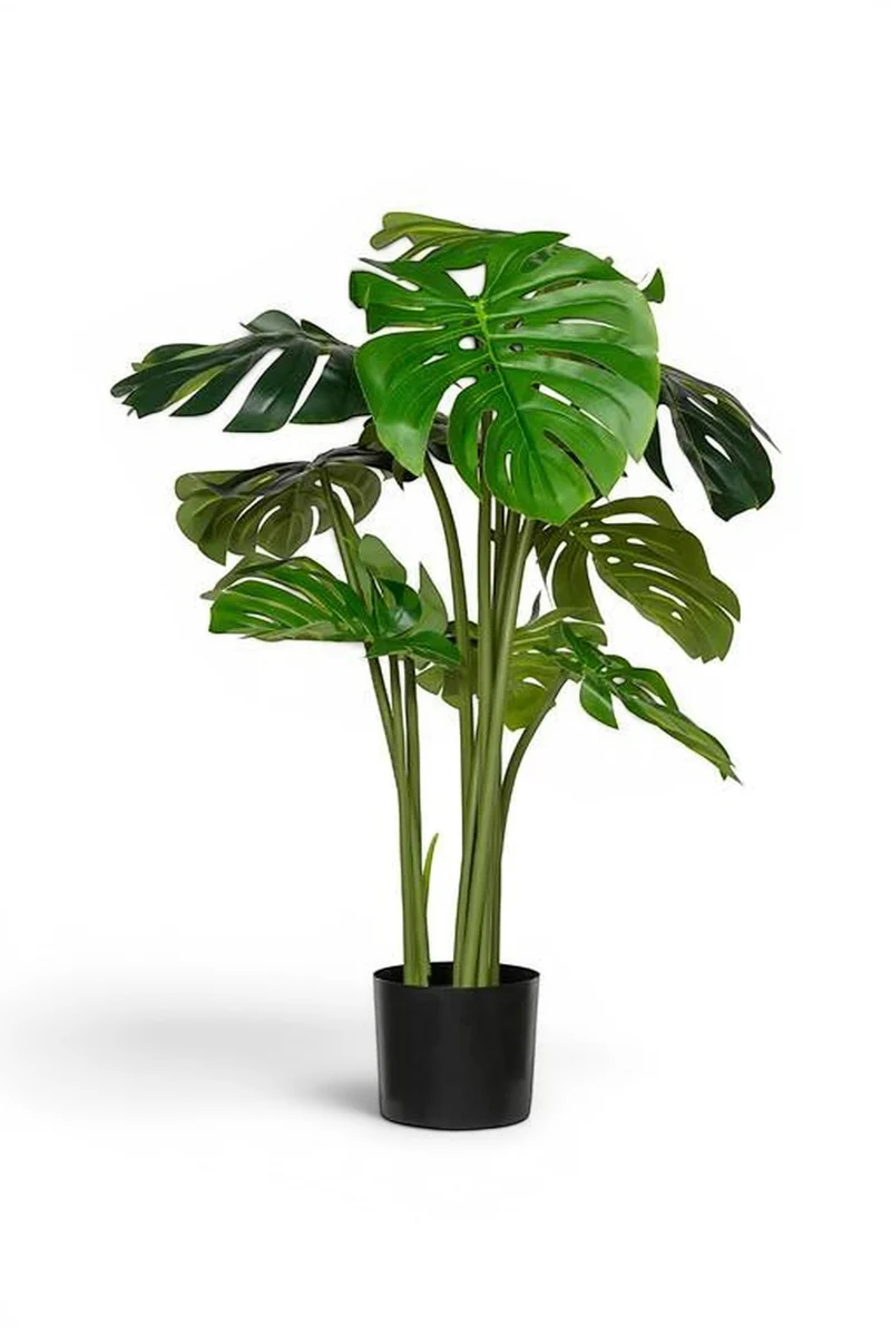 Monstera künstlich, H: 180cm
