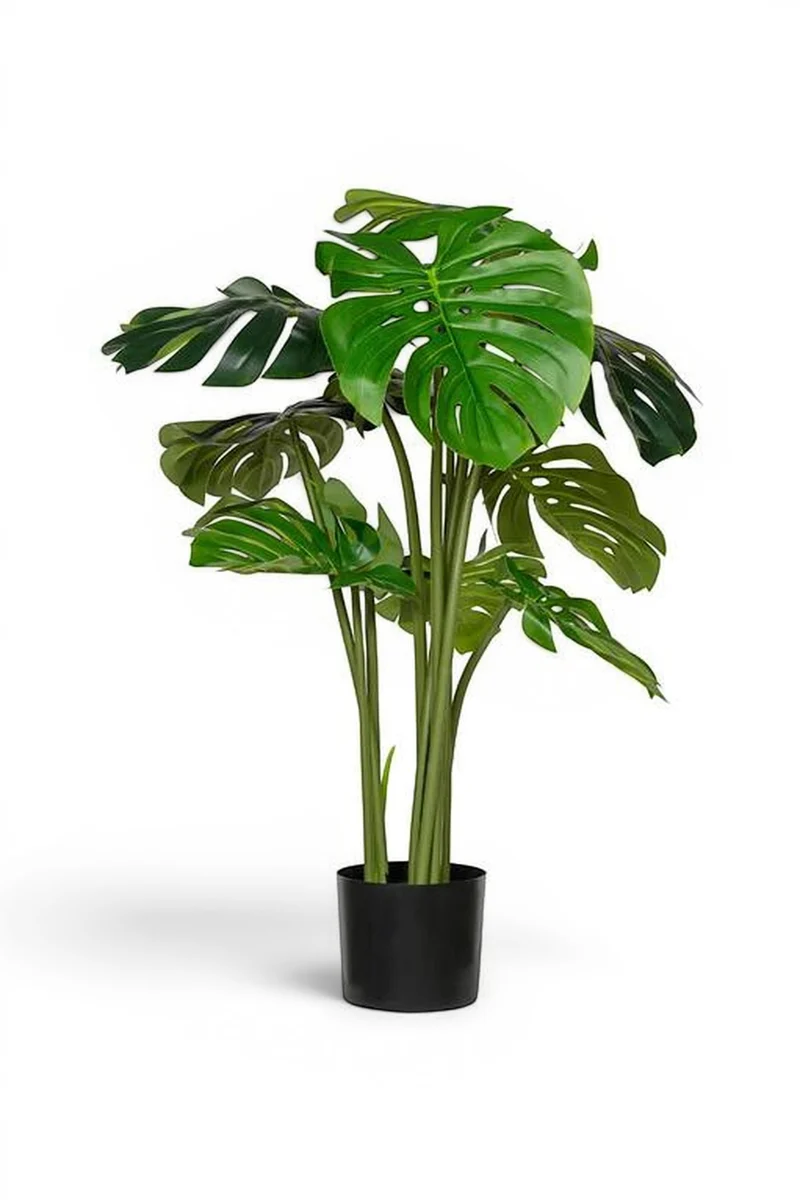 Monstera künstlich, H: 150cm