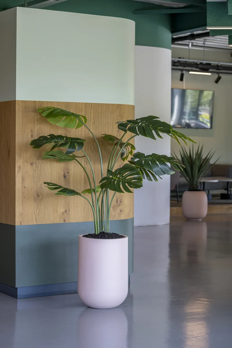 Monstera künstlich, H: 150cm