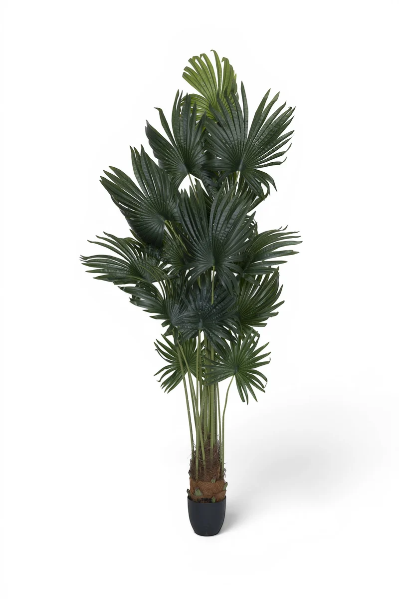 Palme künstlich, H: 220cm