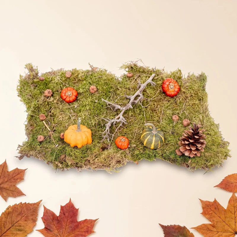 Autumn deco kit Medium with 2 real Pumpkins Ø 6 cm