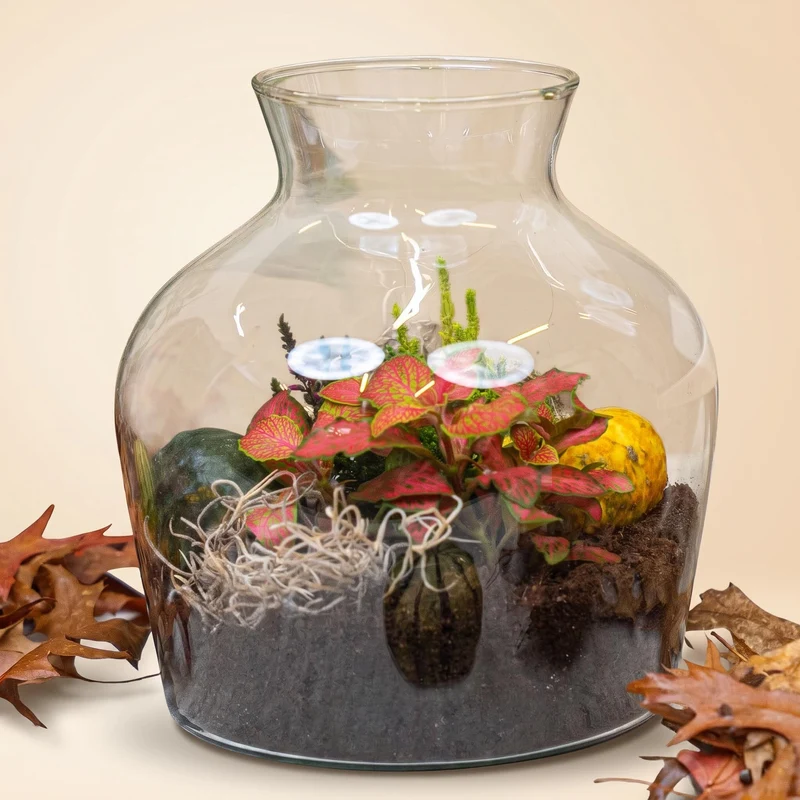 Little Joe Autumn (Halloween) - Glass bottle with Autumn plants and mini pumpkins - Autumn Bottle garden DIY kit - Ø 20 cm ↑ 22 cm