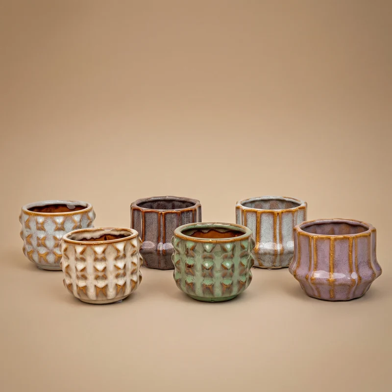 Succulents Set of 6 in Ceramic Mini Pot San Juan - ↑ 8–12 cm