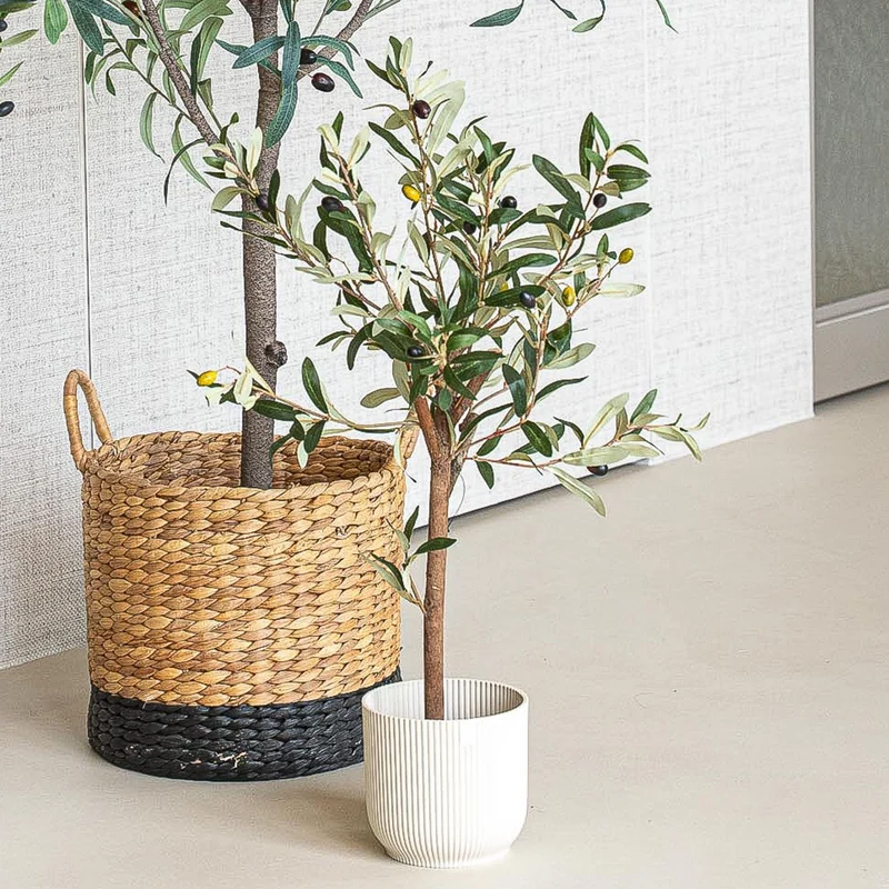 Mini Olive tree set - 3 pcs - Artificial Plants - Bundle set