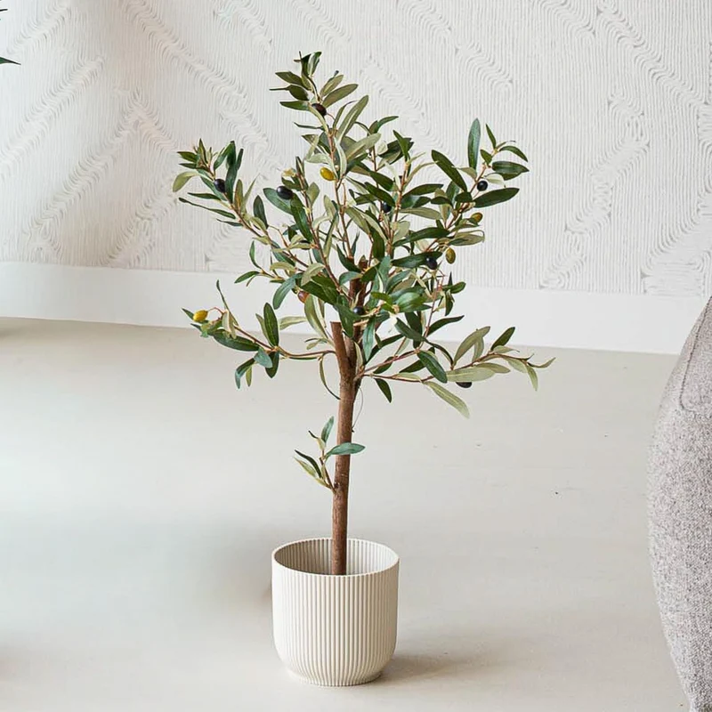 Mini Olive tree set - 3 pcs - Artificial Plants - Bundle set