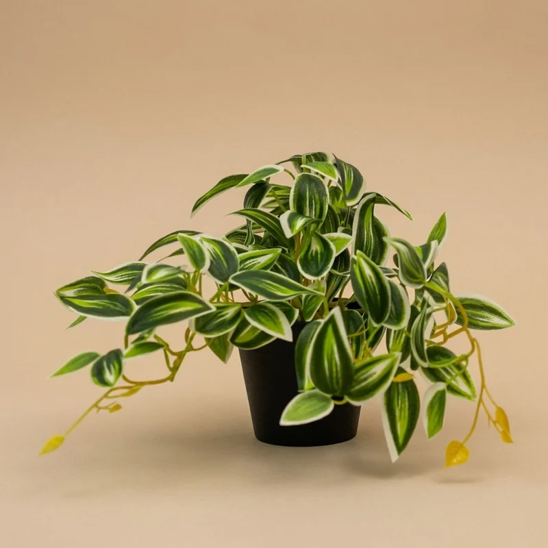 Tradescantia Green/White in Pot - 19 cm - Artificial plant