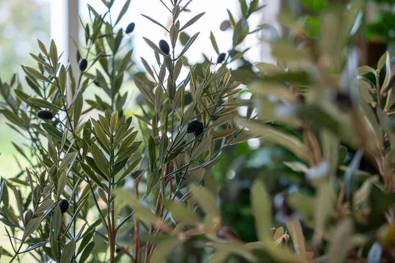 Artificial Olive tree in pot - Artificial plant - 140 cm