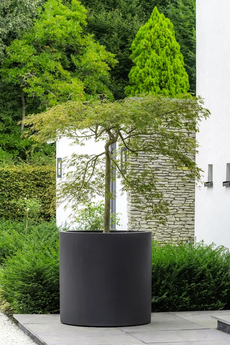 Großer Pflanzkübel Jumbo Max Schwarz in Zylinderform