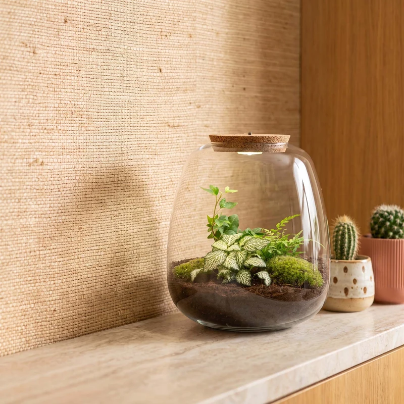 Emma - Hedera White - Terrarium with light - Bottle garden DIY kit - Ø 23 cm ↑ 25 cm