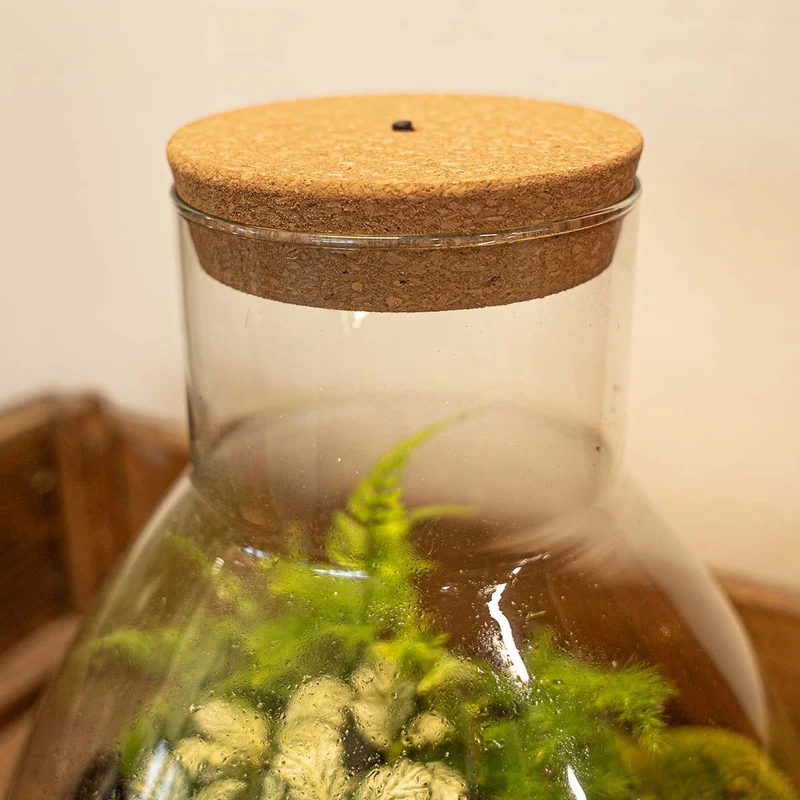 Cork with led Large - Terrarium cork with light - Customizable - 13.2 x 11.9 x 3.5 cm