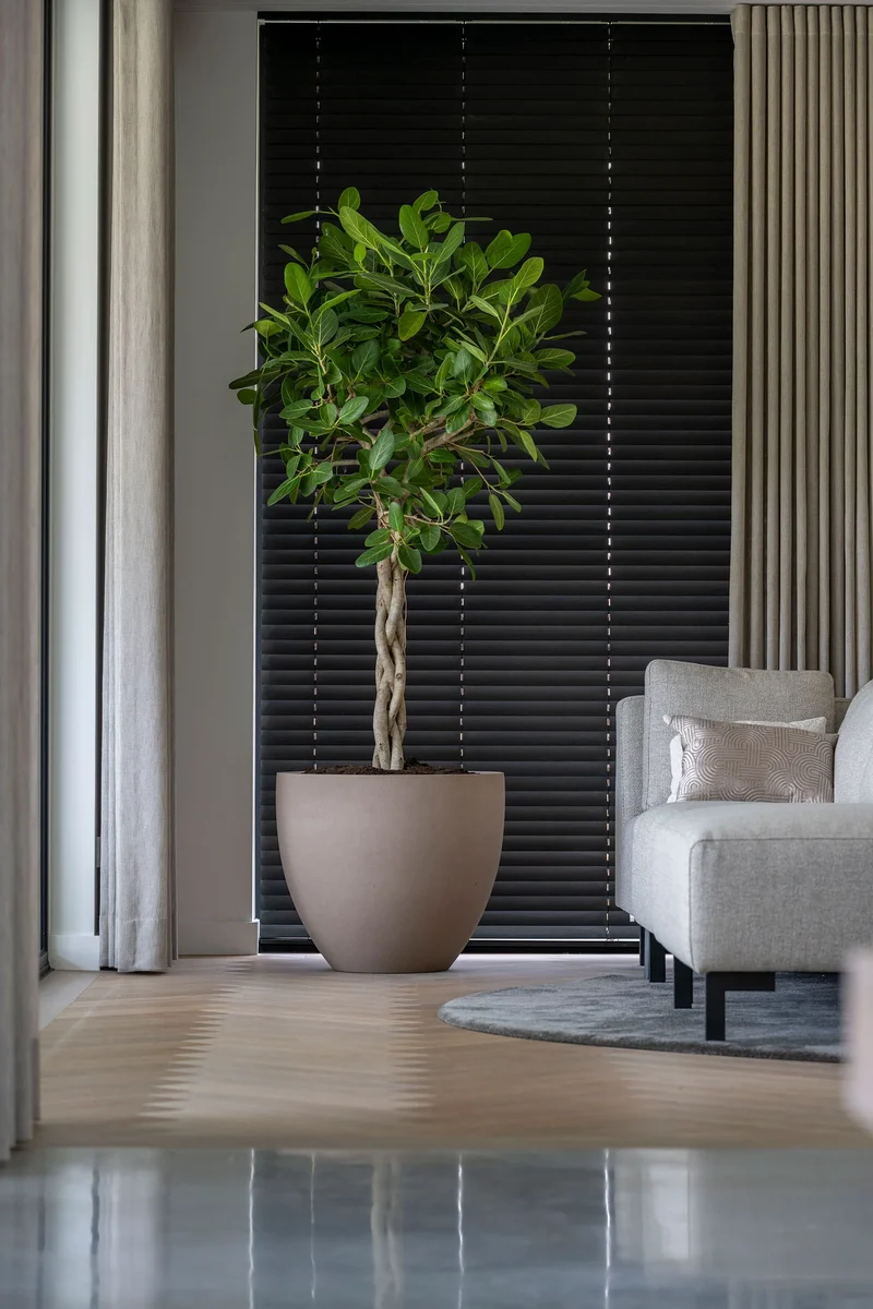 Pflanzkübel Jesslyn Taupe aus Fiberstone
