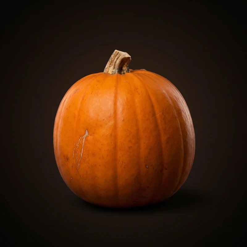 Halloween pumpkin - Orange - Real - Ø approx. 16 cm - approx. 1,4 kg