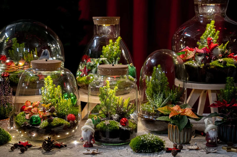 Cosy - Winter terrarium - Bottle garden DIY kit - Ø 23 cm ↑ 25 cm