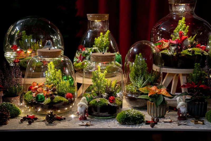 Mistle - Winter terrarium - Bottle garden DIY kit - Ø 29 cm ↑ 30