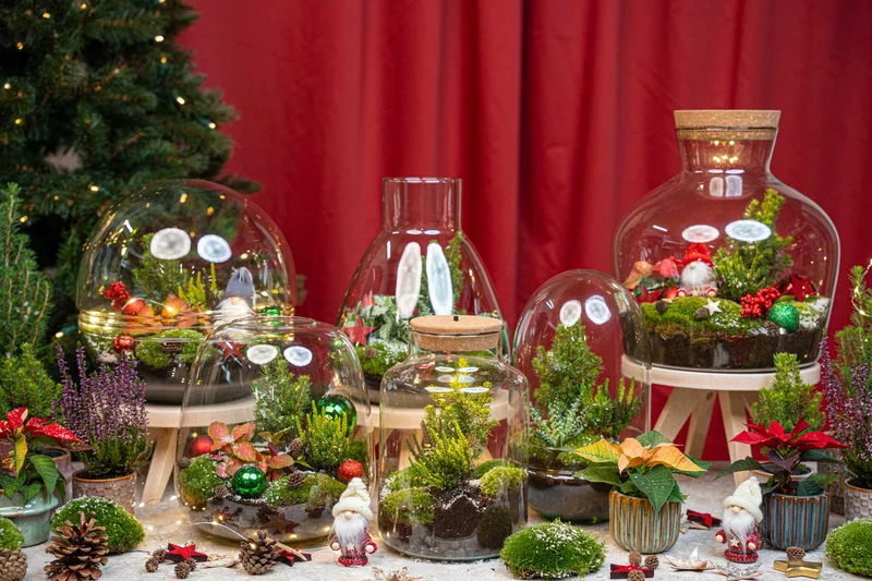 Tinsel - Winter terrarium - Bottle garden DIY kit - Ø 19 cm ↑ 20 cm