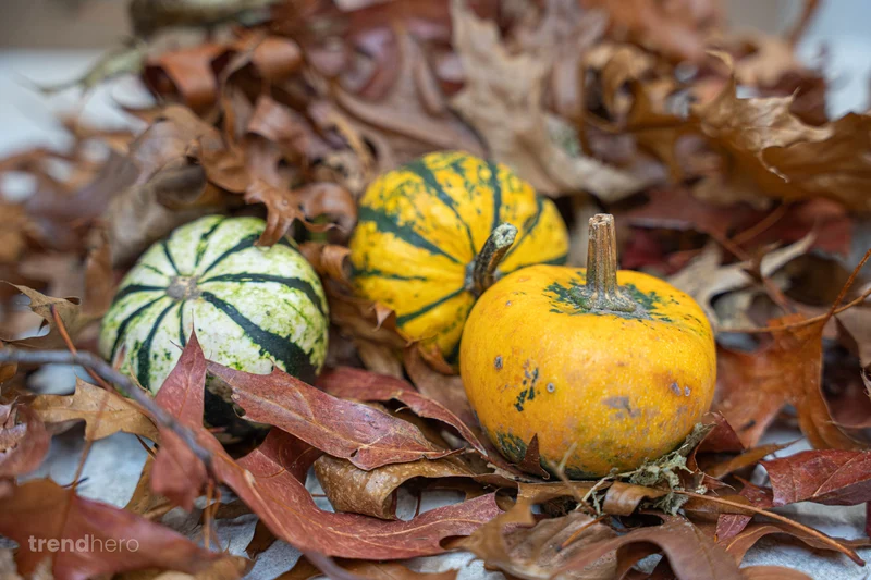 Pumpkin mini set (3 pcs, 6–8 cm) - Natural autumn decoration