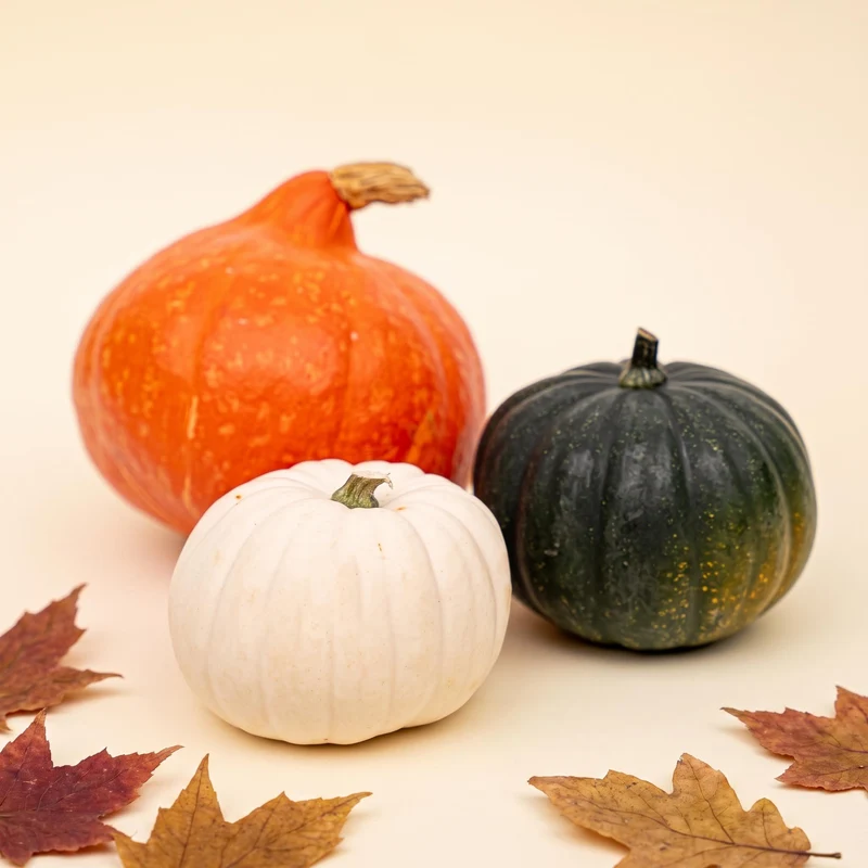Pumpkin set - Real - Hokkaido, Black Cat, White - 3 pcs