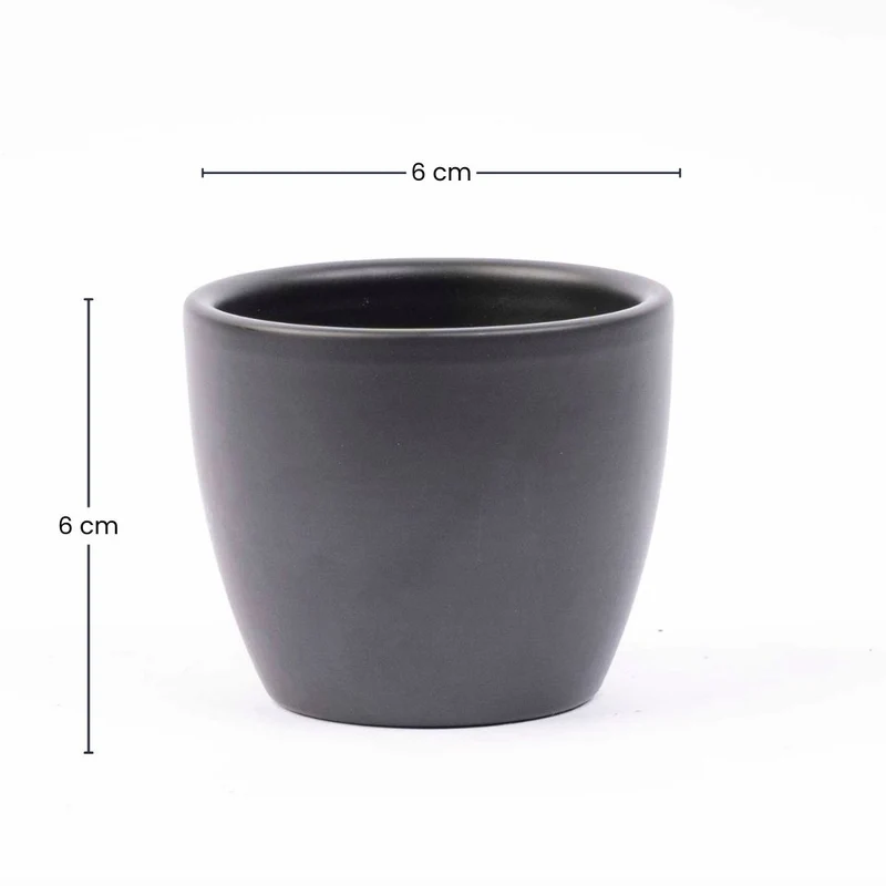 Anthracite Matte - Mini Plant Pot - Boule Pot Anthracite - Ø 6 cm ↑ 6 cm