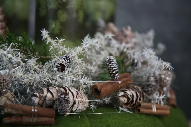 Adventskranz rund mit Asparagus – natürlich & mehrjährig
