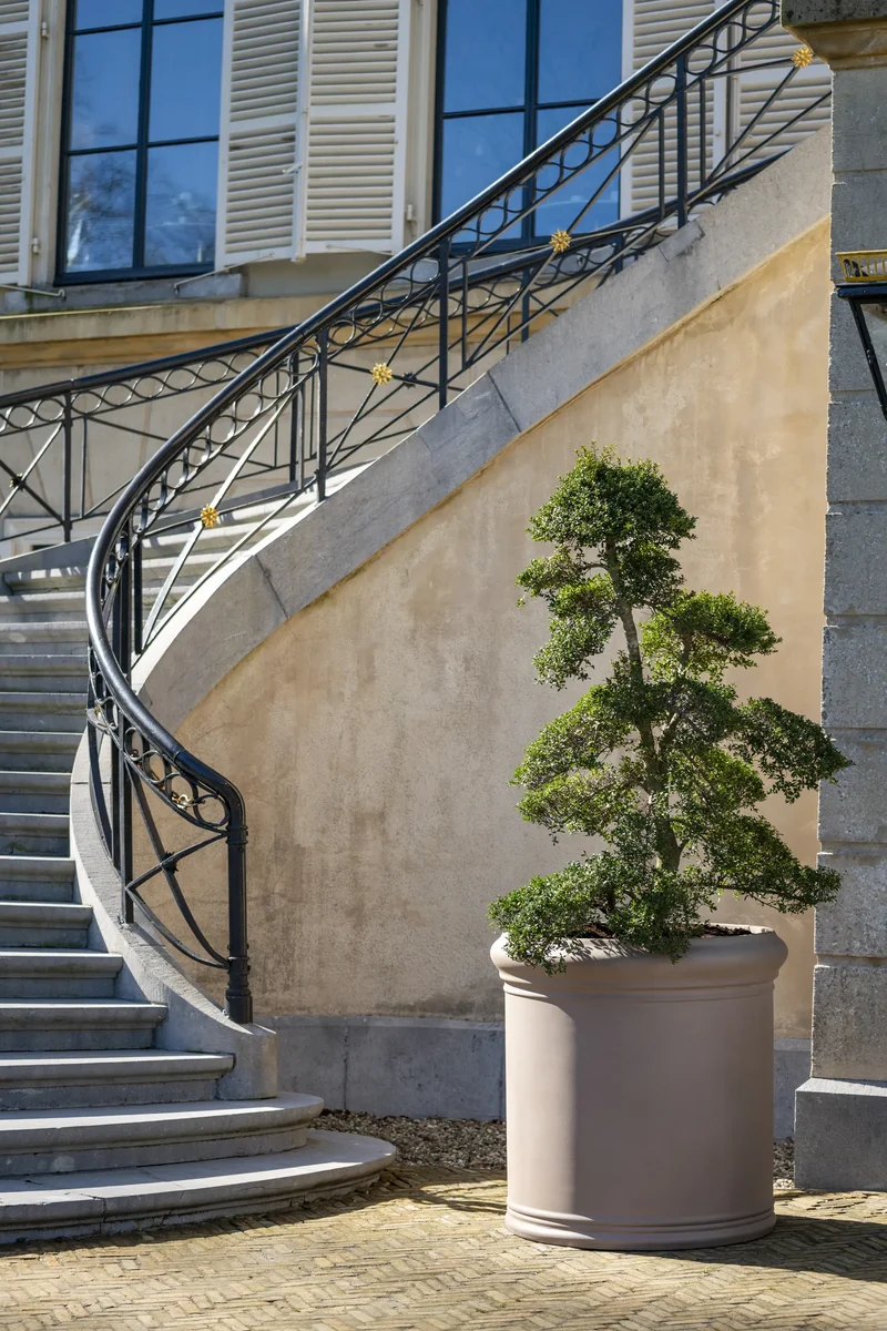 Großer Pflanzkübel rund – Jumbo Max Classic Taupe mit Bordüre