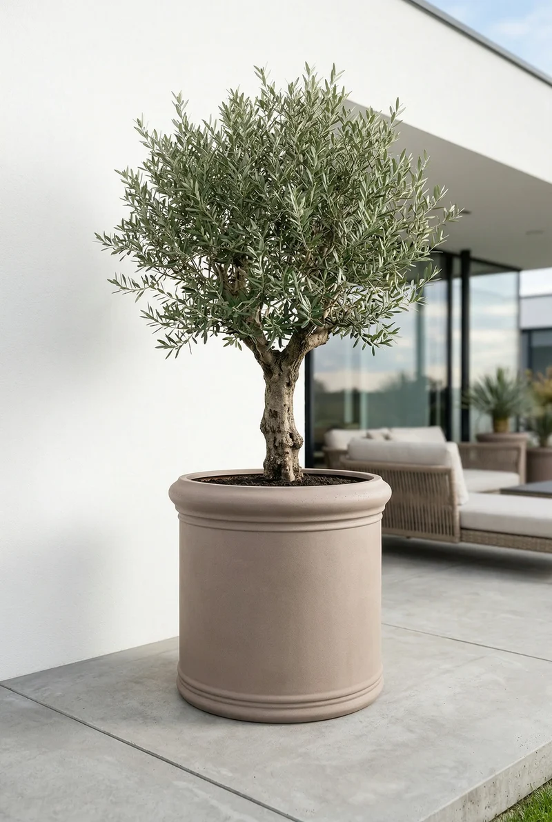Großer Pflanzkübel rund – Jumbo Max Classic Taupe mit Bordüre