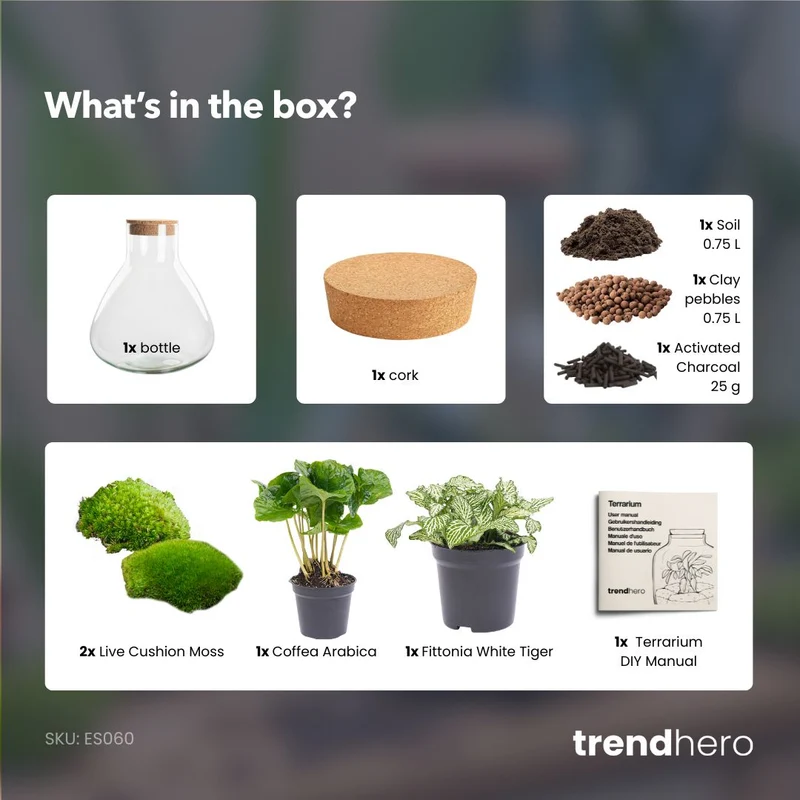 Sammie Coffea Arabica + White Tiger - Terrarium - Bottle garden DIY kit - Ø 22,5 cm ↑ 27 cm