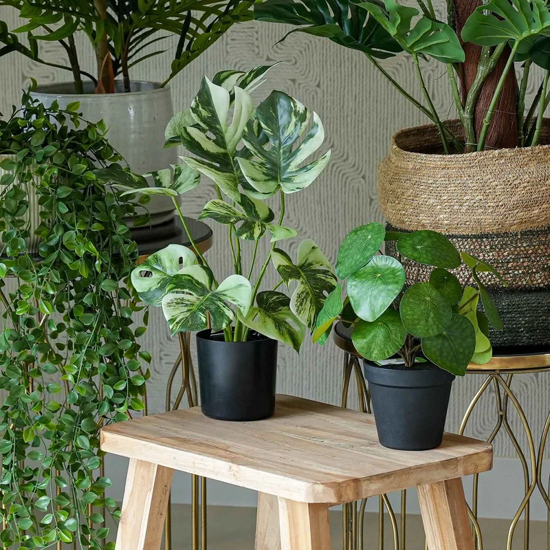 Urban jungle XL - 6 pcs - Artificial Plants - Bundle set