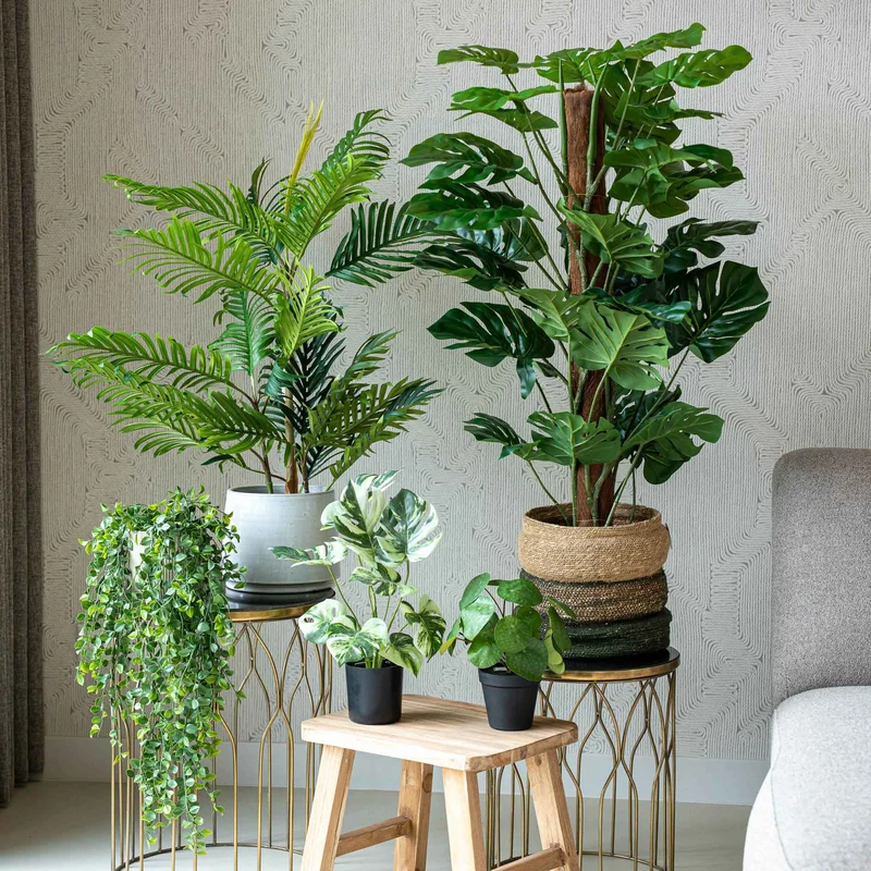Urban jungle L - 5 pcs - Artificial Plants - Bundle set