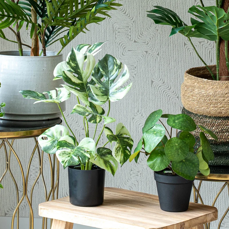 Urban jungle L - 5 pcs - Artificial Plants - Bundle set