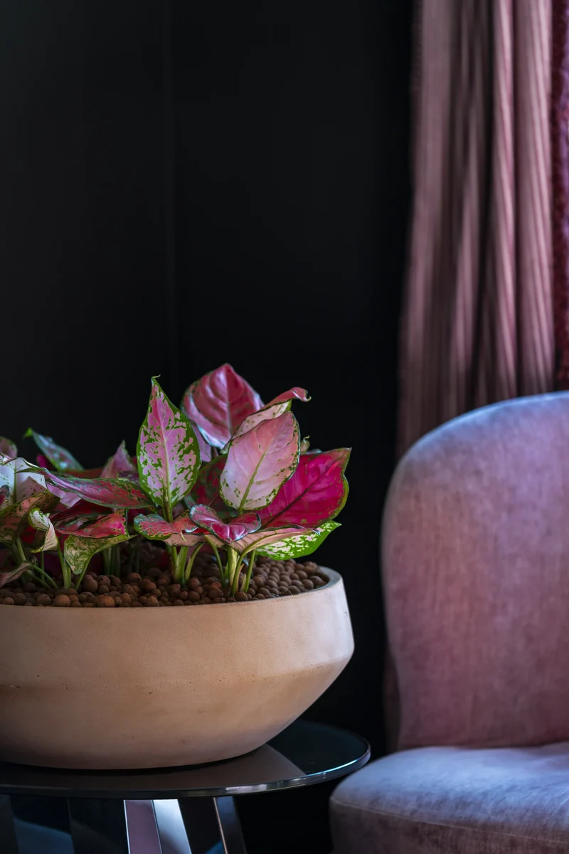 Vase Madu Terrakotta, wasserdicht aus glasfaserverstärktem Ton