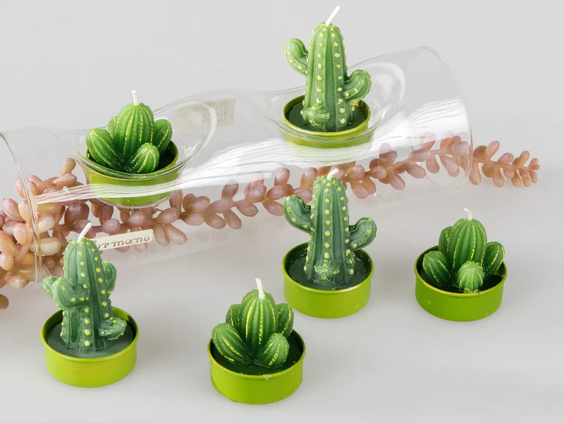 formano Kakteen Teelichter 6er Set – Im Geschenkkarton