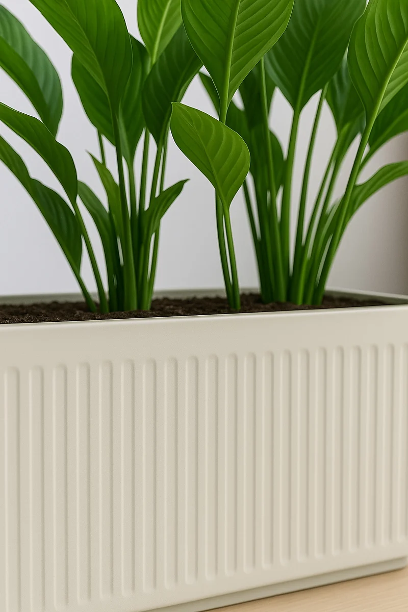 Rechteckiger Pflanzkübel Jort Seidenweiß aus Fiberglas