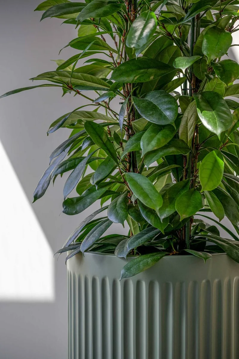 Blumentopf Turris Salbeigrün aus Fiberglas