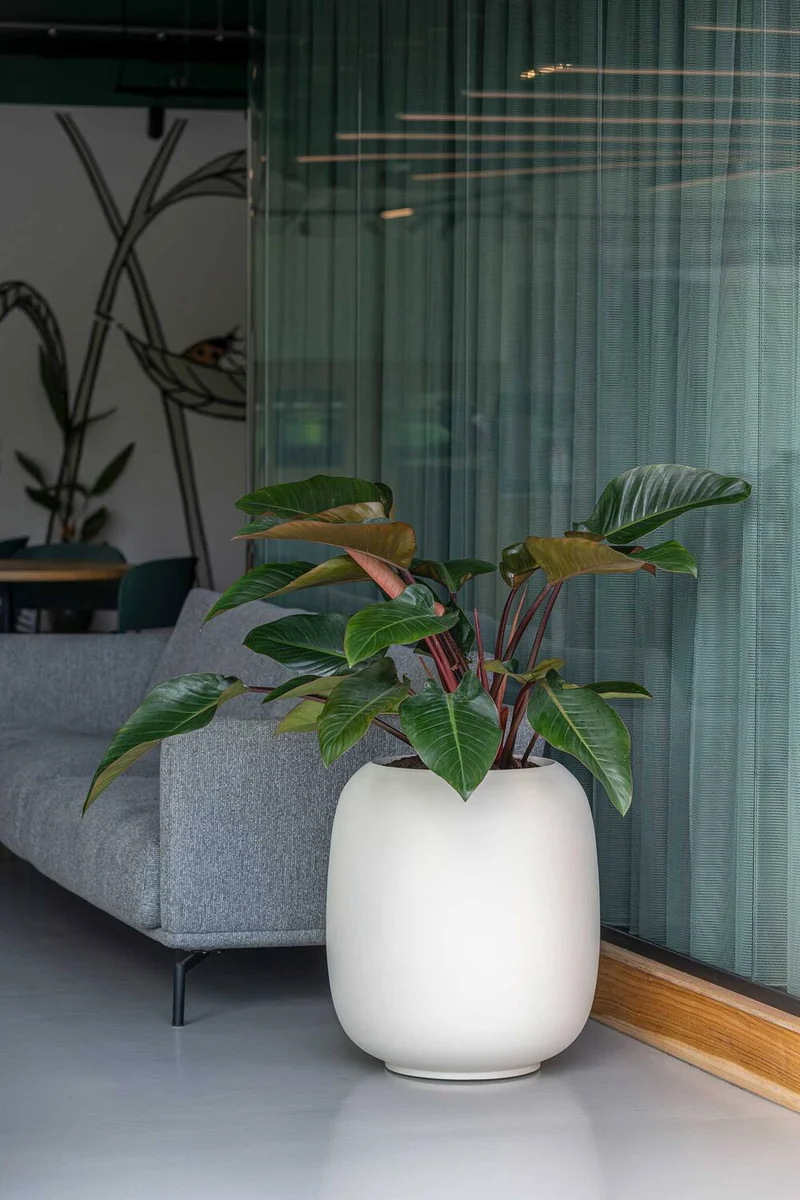Blumentopf Sphere Seidenweiß aus Fiberglas