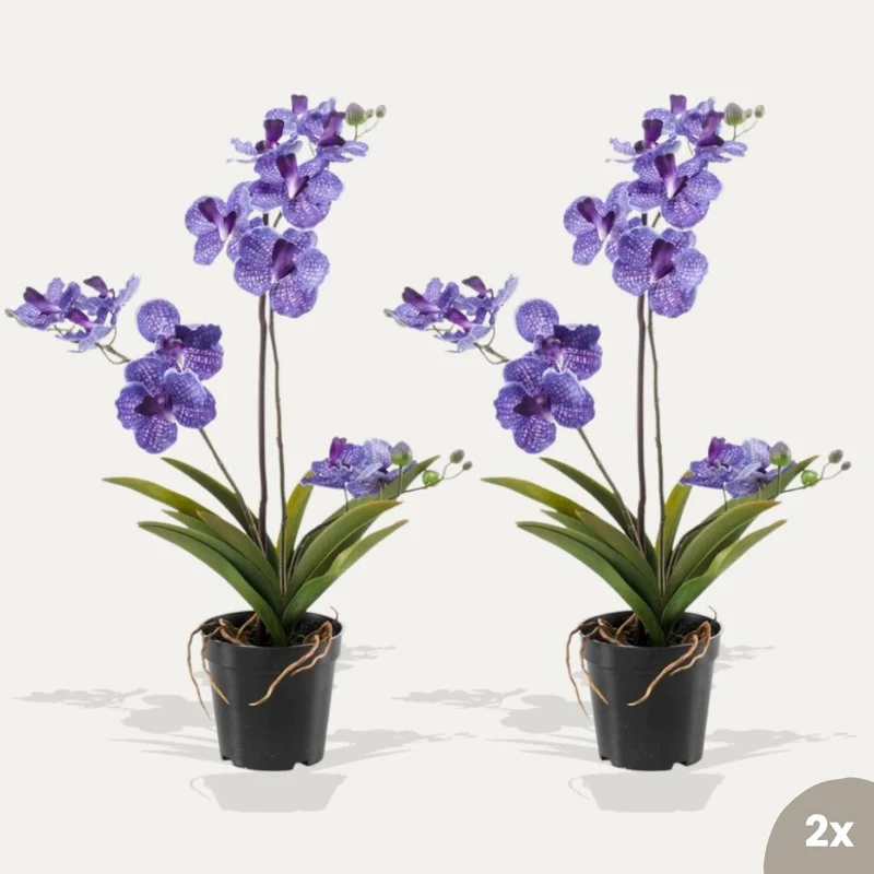 Orchid Vanda purple 2 pcs - Artificial Plants - Bundle set