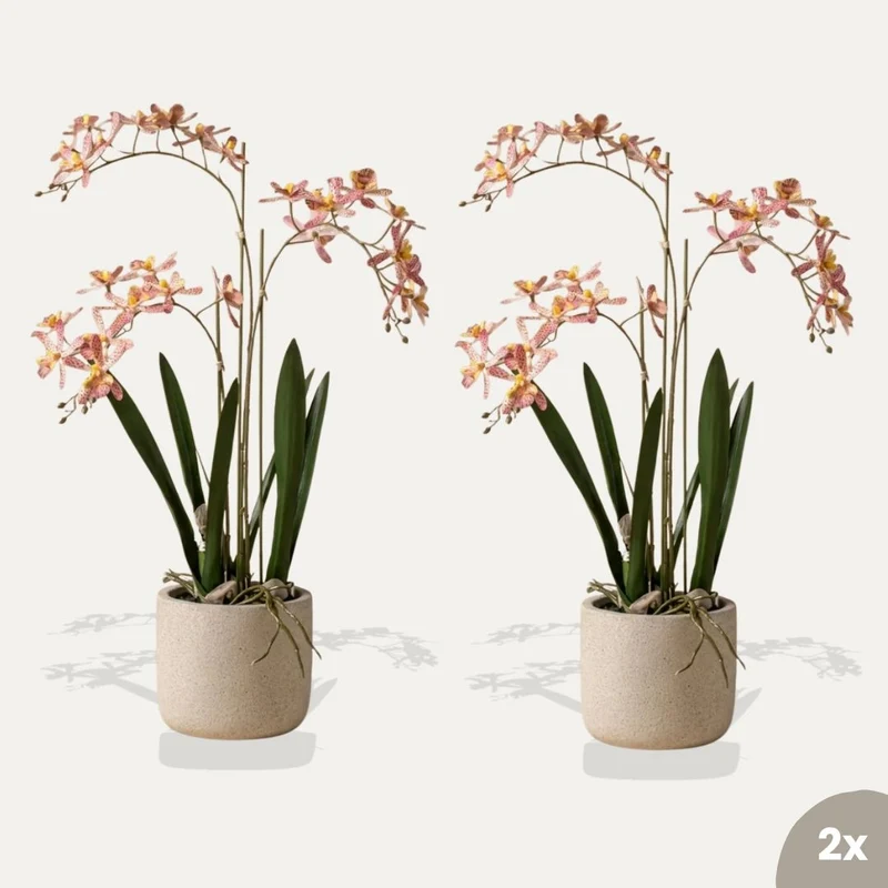 Renantera Orchid pink 2 pcs - Artificial Plants - Bundle set