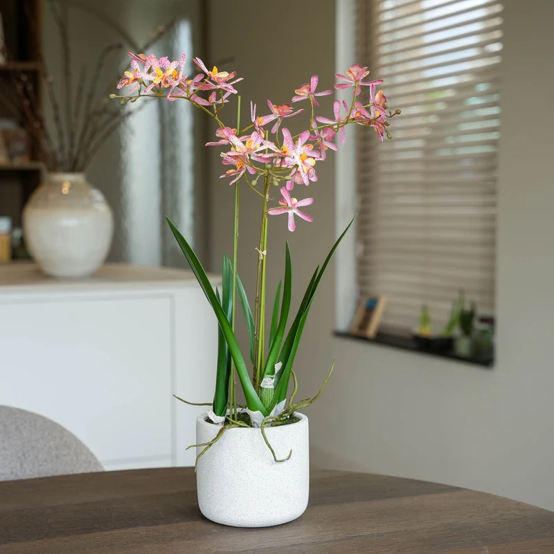 Renantera Orchid pink 2 pcs - Artificial Plants - Bundle set