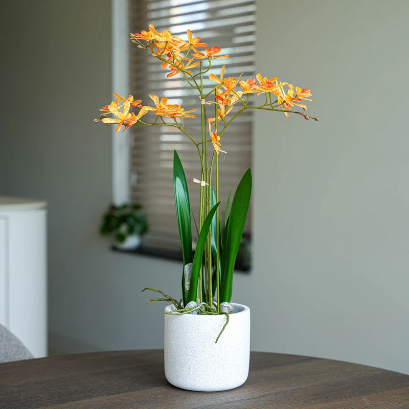 Renantera Orchid yellow/orange 2 pcs - Artificial Plants - Bundle set