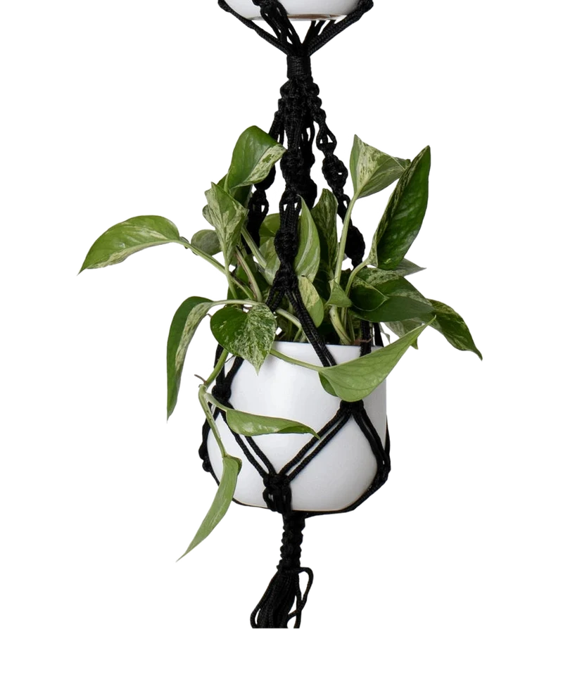 Hangtouw Macrame Double Spiral Knot Zwart Ø13 x H120 cm
