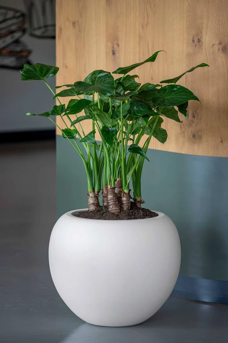 Blumentopf Stream Seidenweiß aus Fiberglas