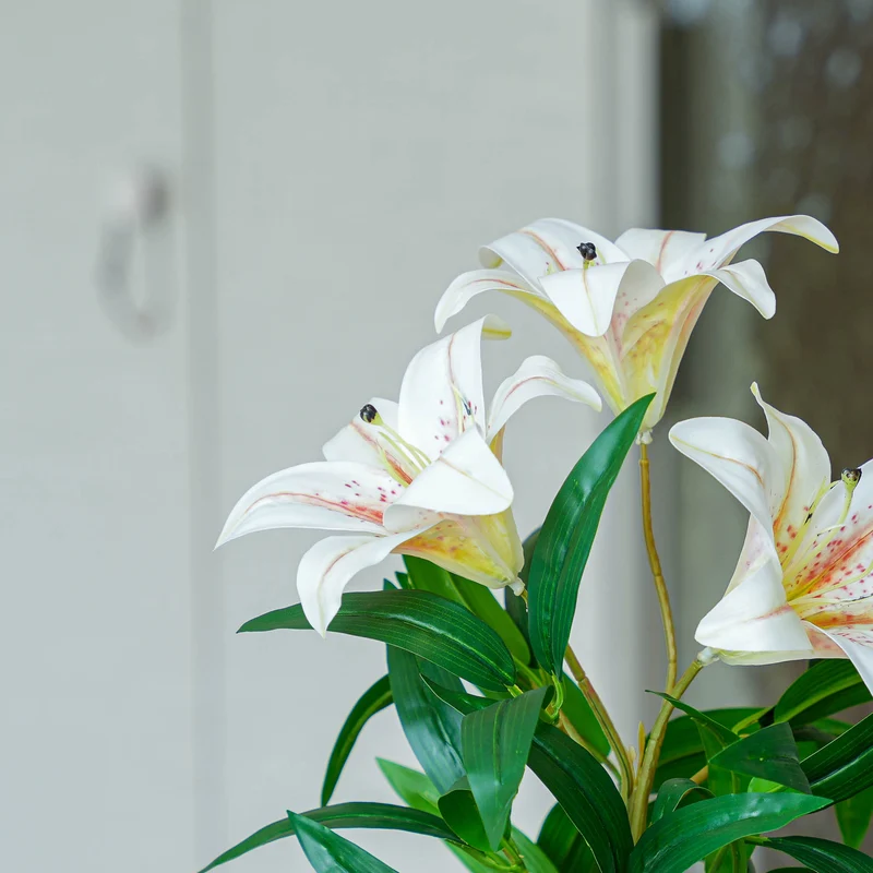 Lily cream 3 pcs - Artificial Plants - Bundle set