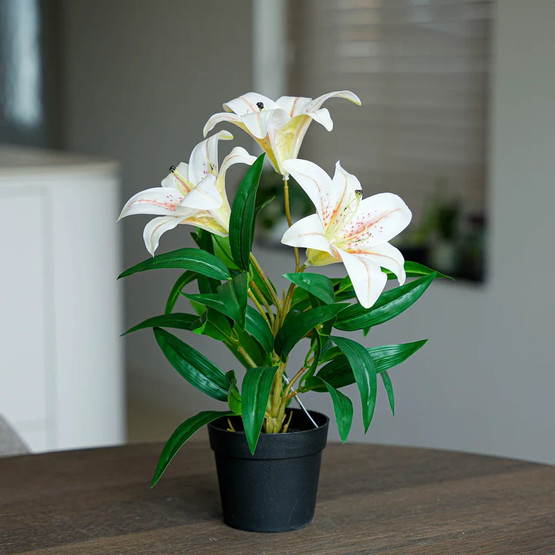 Lily cream 3 pcs - Artificial Plants - Bundle set