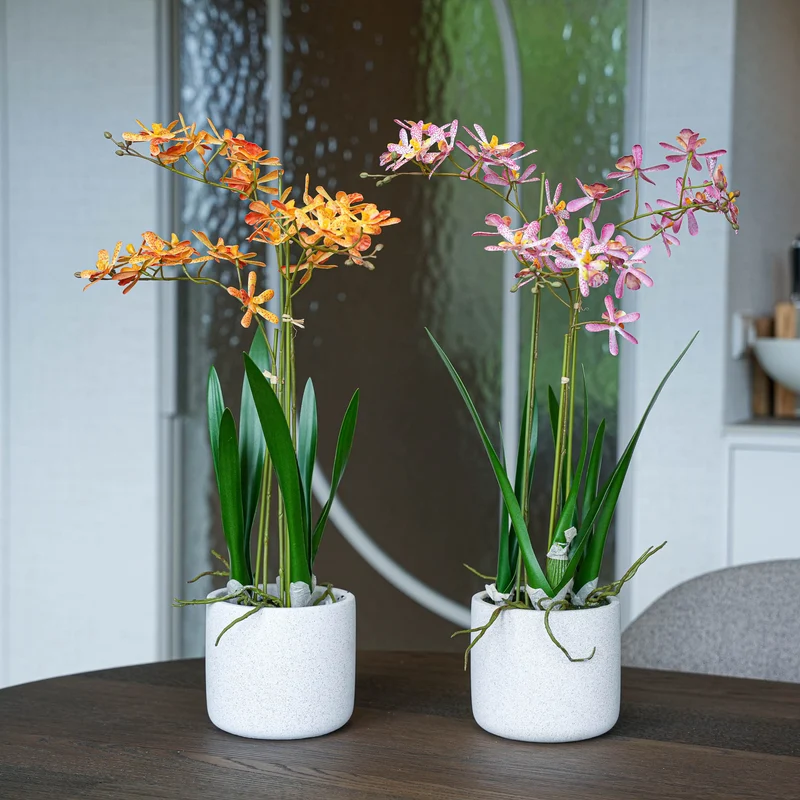 Renanthera orchid mix - 2pcs - Artificial Plants - Bundle set
