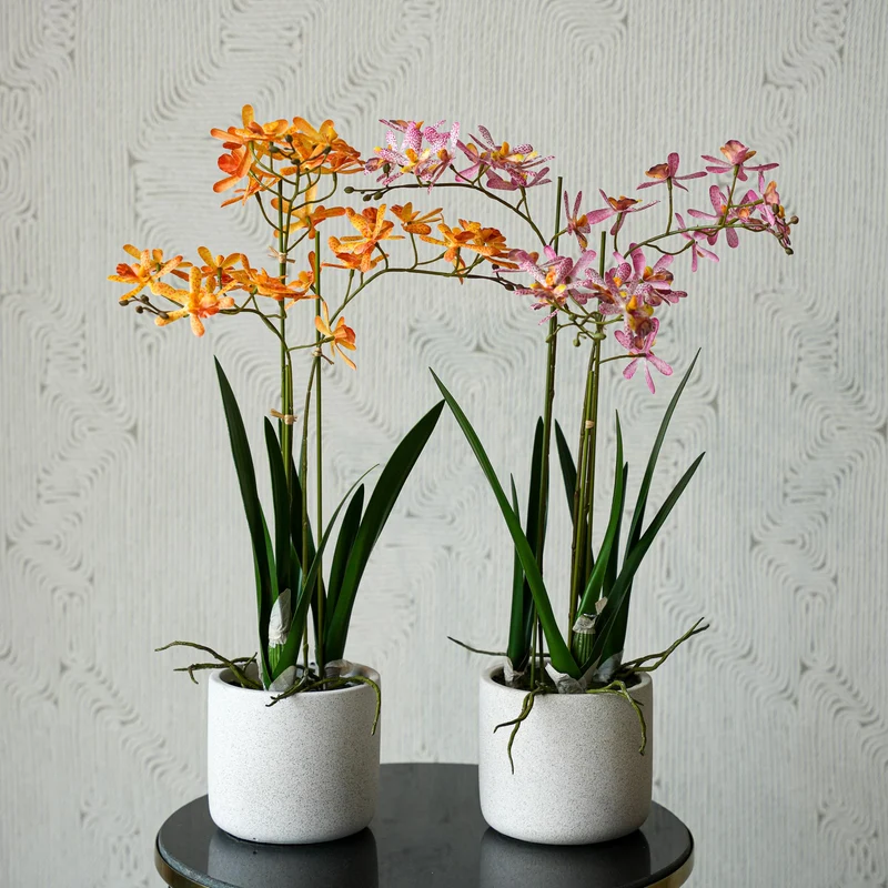 Renanthera orchid mix - 2pcs - Artificial Plants - Bundle set