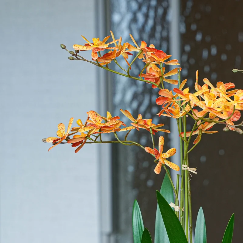 Renanthera orchid mix - 2pcs - Artificial Plants - Bundle set