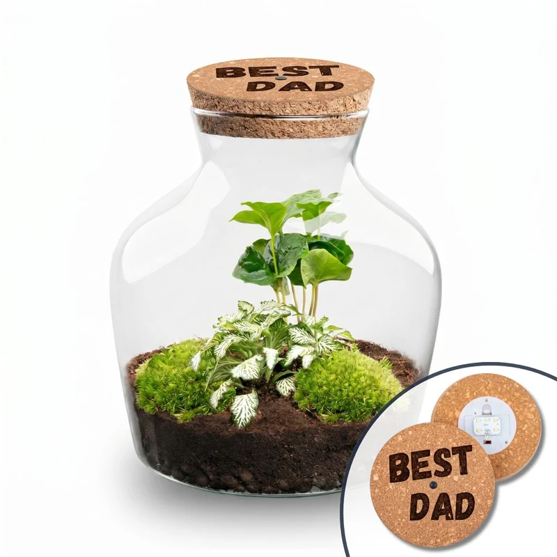 Father's Day terrarium Little Joe + Custom engraved cork with light - Bottle garden DIY kit - Ø 20 cm ↑ 22 cm