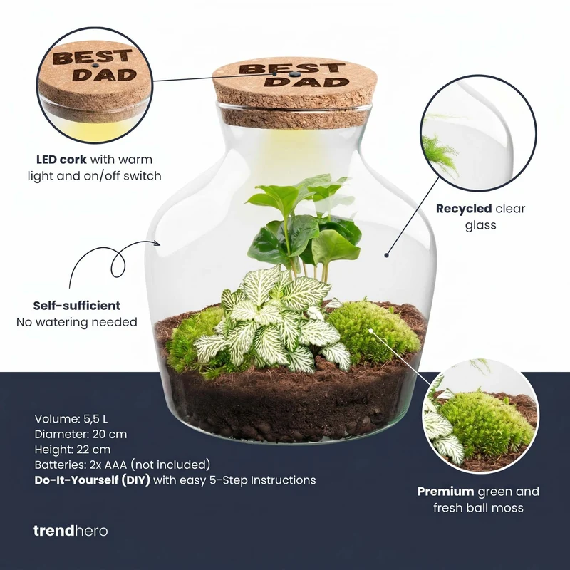 Father's Day terrarium Little Joe + Custom engraved cork with light - Bottle garden DIY kit - Ø 20 cm ↑ 22 cm