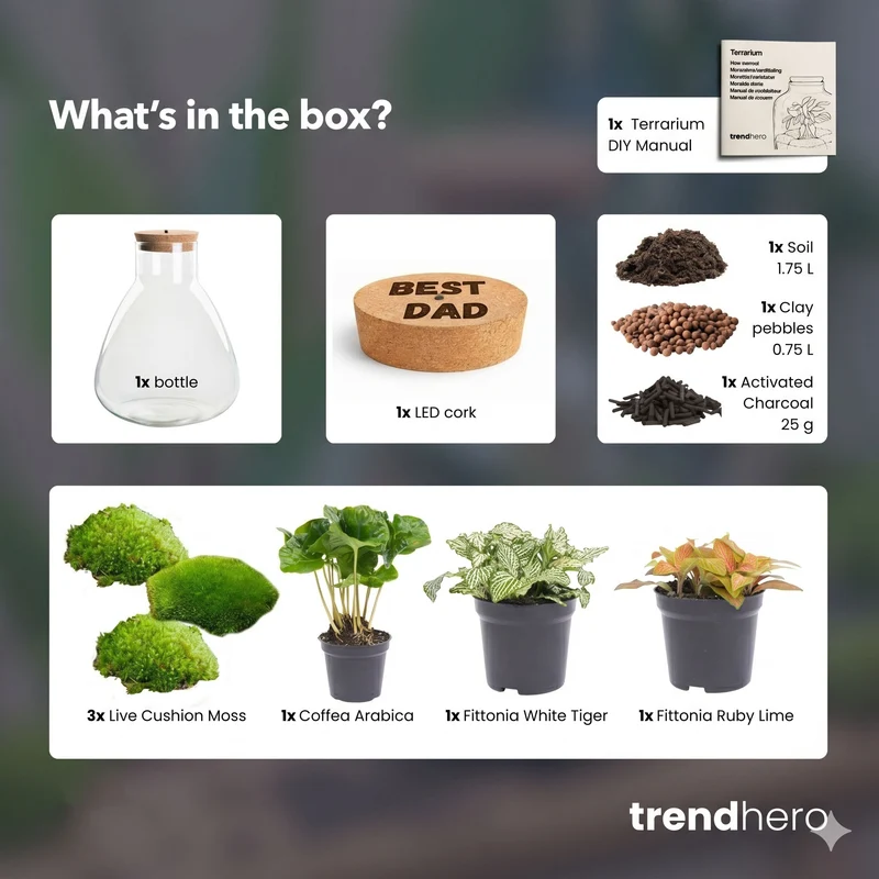 Father's Day terrarium Sam + Custom engraved cork with light - Bottle garden DIY kit - Ø 24.5 cm ↑ 30 cm