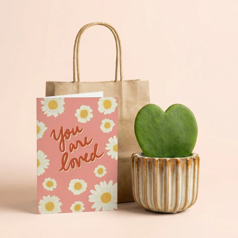 Gift set - Love Set - Heart plant, pot, love card & gift bag