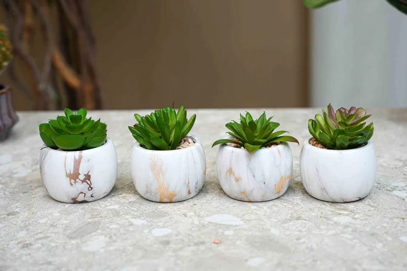Artificial mini succulents mix in marble pot - Succulent mix set 4 - ↑ 10 cm